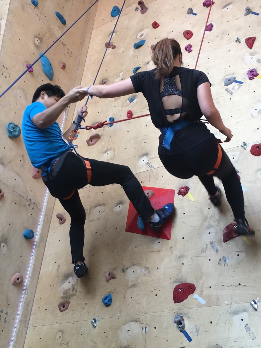 攀岩課程推薦戀愛大學攀岩聯誼